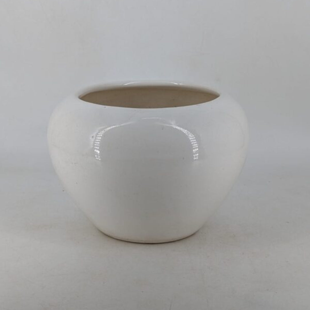 Planter - Round Glossy Ivory White Globe Pot