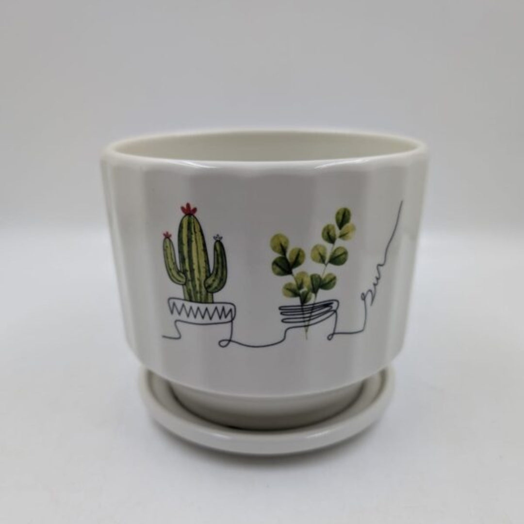 Planter with Attached Saucer - White Cactus & Succulent Line Art Pot