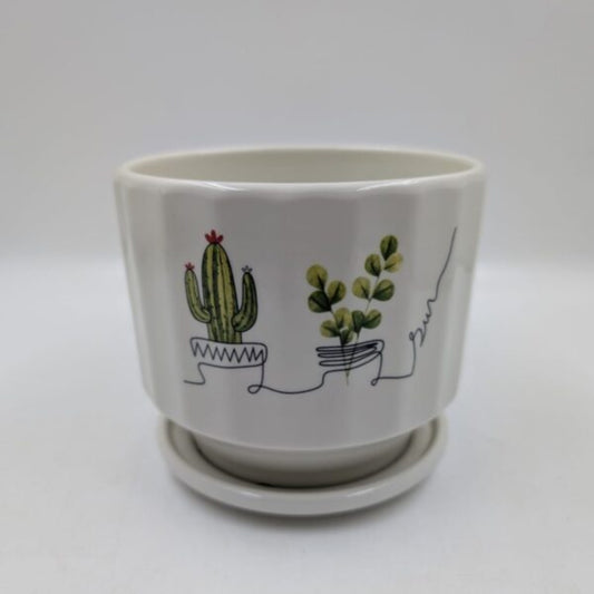 Planter with Attached Saucer - White Cactus & Succulent Line Art Pot